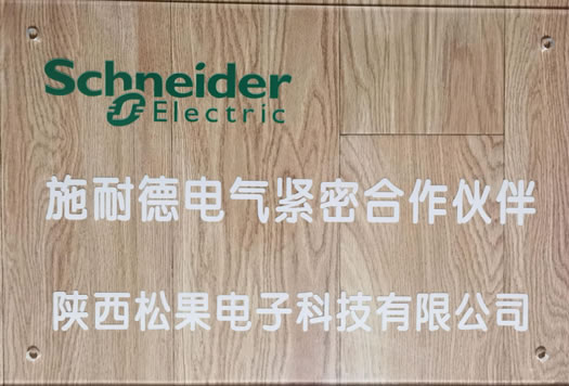 施耐德合作伙伴